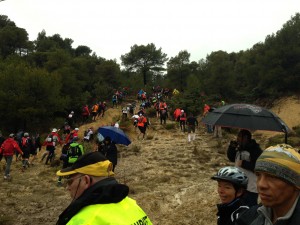 les participants